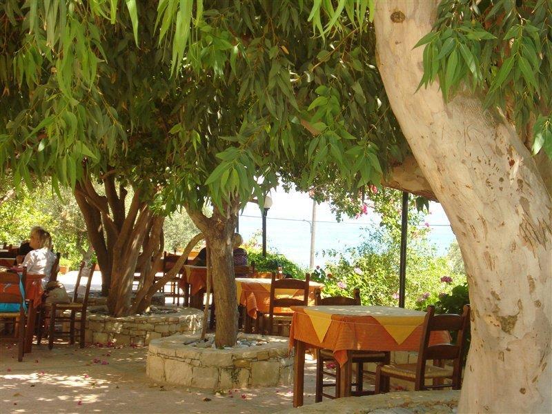 Ξενοδοχείο Πολύριζος Ροδάκινο Εξωτερικό φωτογραφία
